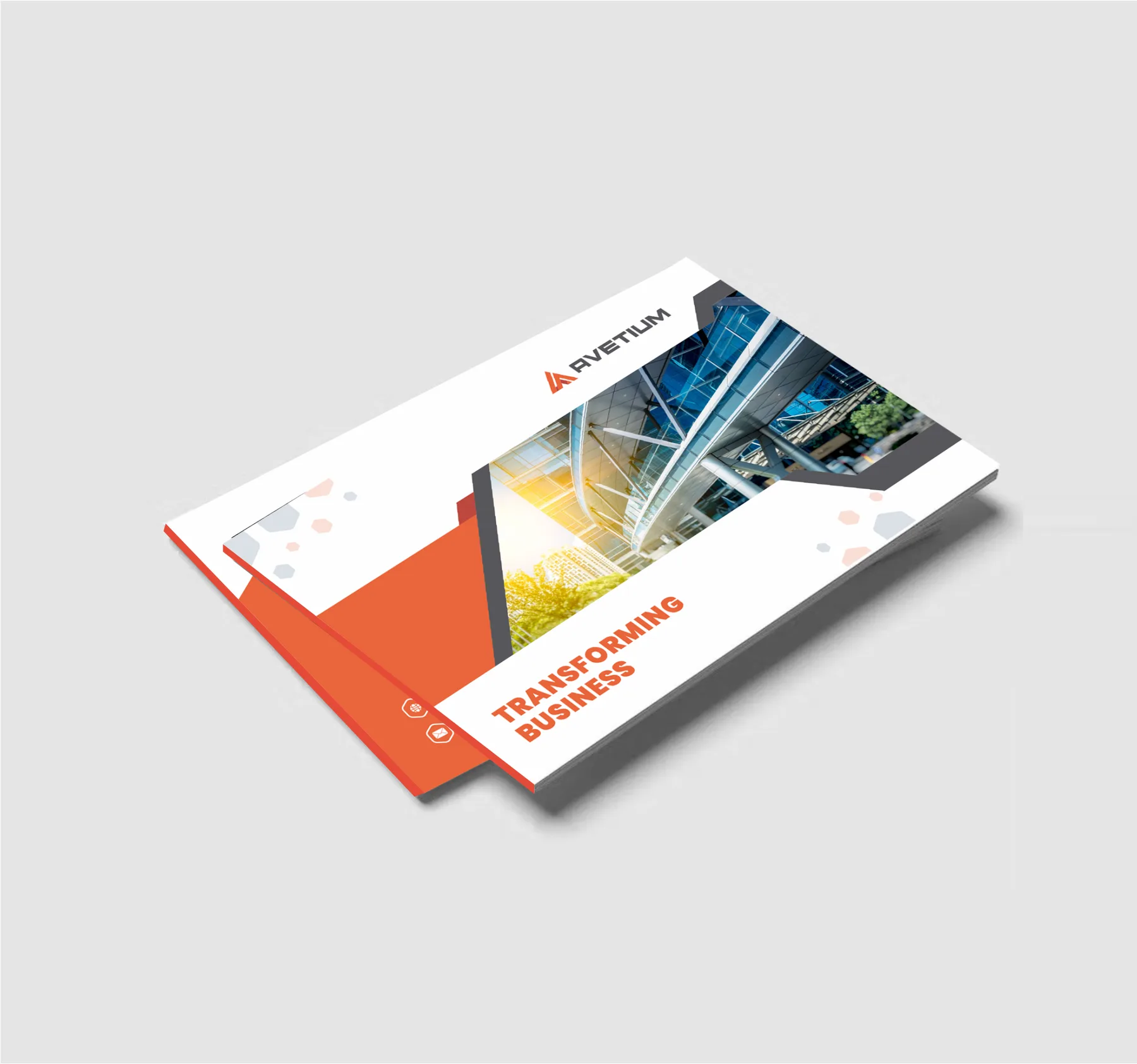 Avetium Consult: Company profile design